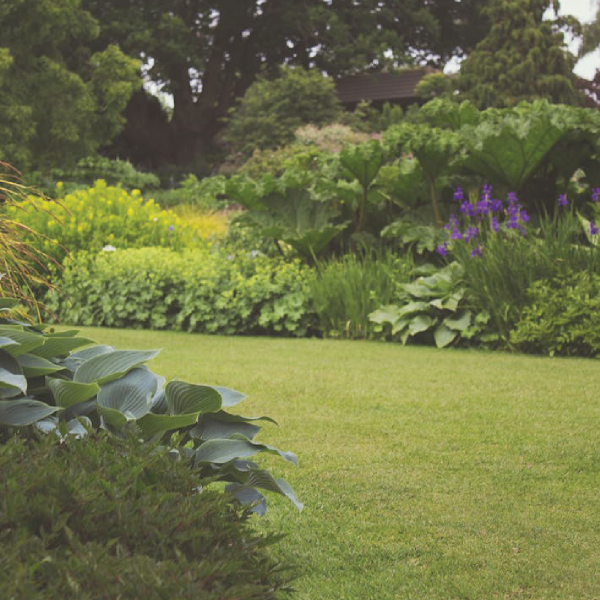 A well-kept yard is the perfect backdrop for outdoor relaxation. Our yard cleaning services include clearing debris, trimming hedges, and sprucing up your garden, giving your outdoor space new life!